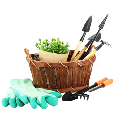Home & Garden