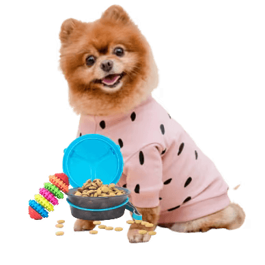 Pet & Pet Supplies